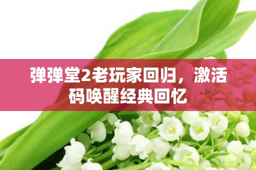 弹弹堂2老玩家回归，激活码唤醒经典回忆