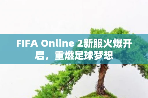 FIFA Online 2新服火爆开启，重燃足球梦想