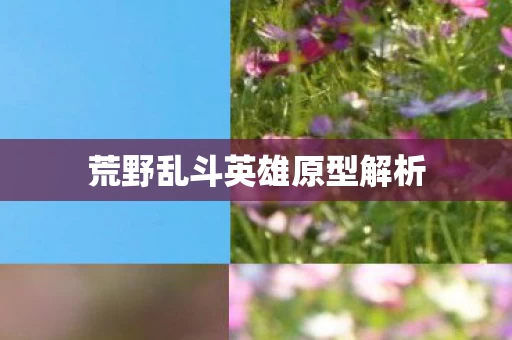 荒野乱斗英雄原型解析图片