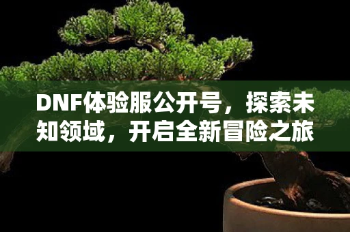 DNF体验服公开号，探索未知领域，开启全新冒险之旅