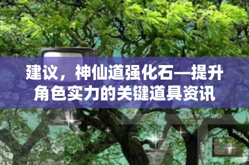 建议，神仙道强化石—提升角色实力的关键道具资讯
