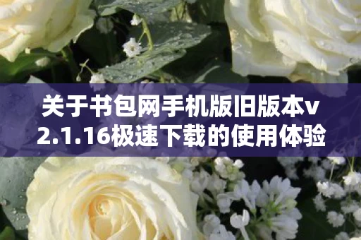16极速下载的使用体验与回顾图片