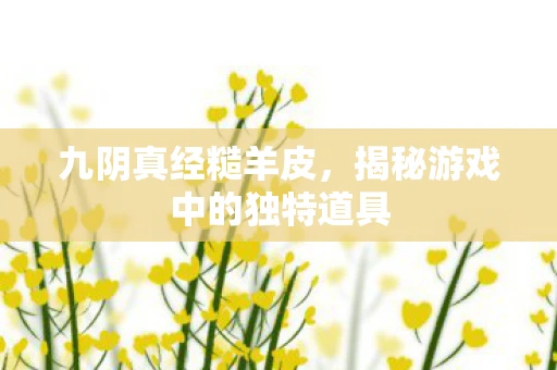 九阴真经糙羊皮，揭秘游戏中的独特道具