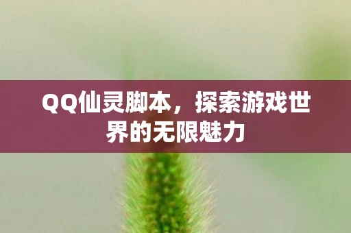 QQ仙灵脚本，探索游戏世界的无限魅力