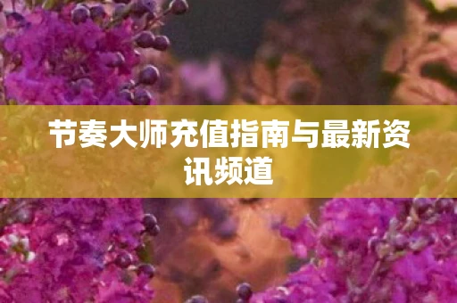 节奏大师充值指南与最新资讯频道