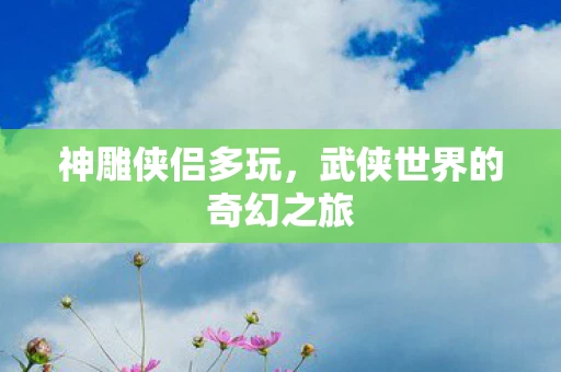 神雕侠侣多玩，武侠世界的奇幻之旅