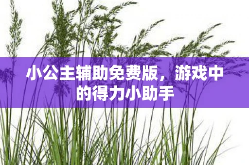 小公主辅助免费版，游戏中的得力小助手