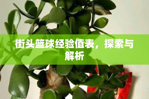 街头篮球经验值表图片