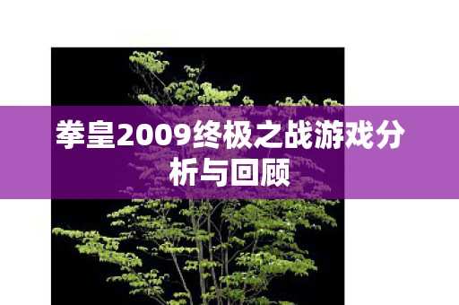 拳皇2009终极之战游戏分析与回顾