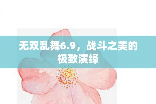 无双乱舞6.9，战斗之美的极致演绎
