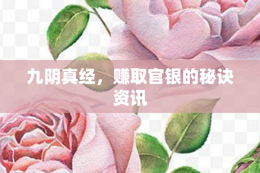 九阴真经，赚取官银的秘诀资讯