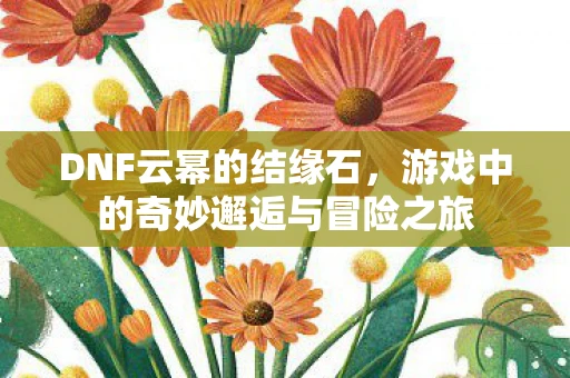 DNF云幂的结缘石，游戏中的奇妙邂逅与冒险之旅