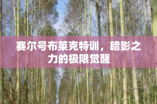 赛尔号布莱克特训，暗影之力的极限觉醒