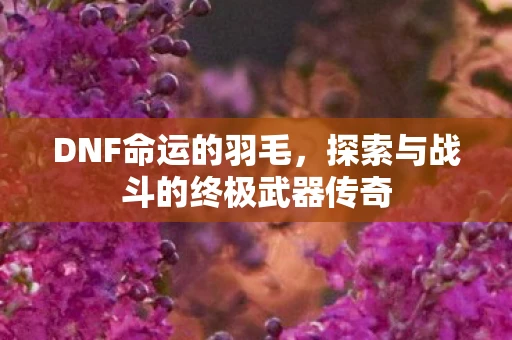 DNF命运的羽毛，探索与战斗的终极武器传奇