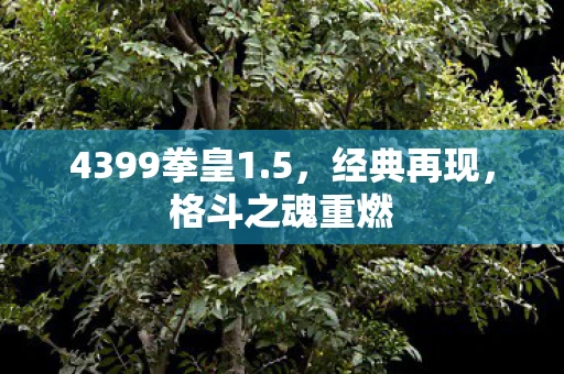 4399拳皇1.5，经典再现，格斗之魂重燃