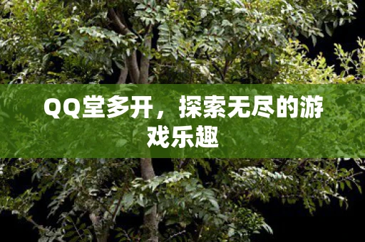 QQ堂多开，探索无尽的游戏乐趣