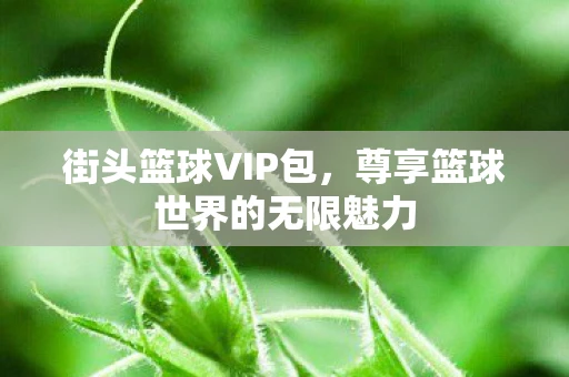 街头篮球VIP包，尊享篮球世界的无限魅力