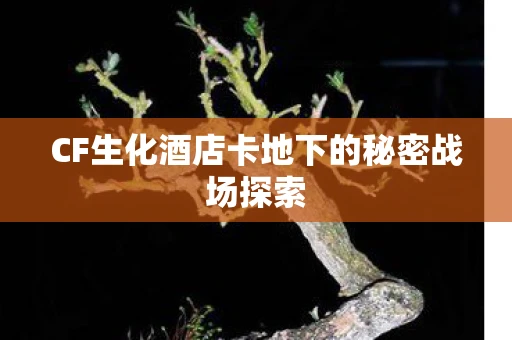 CF生化酒店卡地下的秘密战场探索