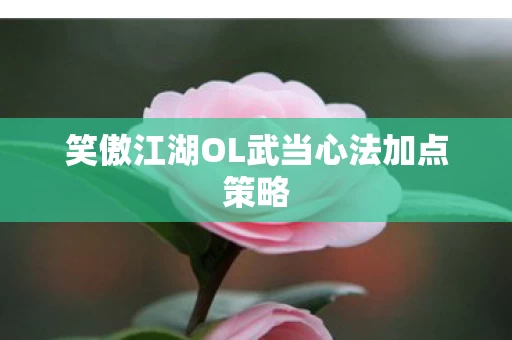 笑傲江湖OL武当心法加点策略图片
