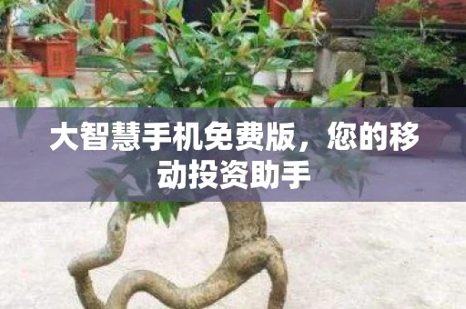 大智慧手机免费版，您的移动投资助手