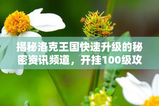 揭秘洛克王国快速升级的秘密资讯频道，开挂100级攻略