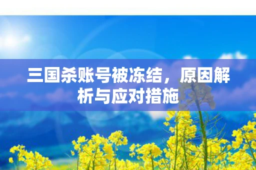 三国杀账号被冻结，原因解析与应对措施