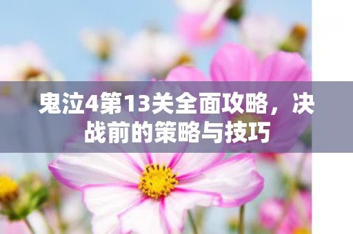 鬼泣4第13关全面攻略，决战前的策略与技巧