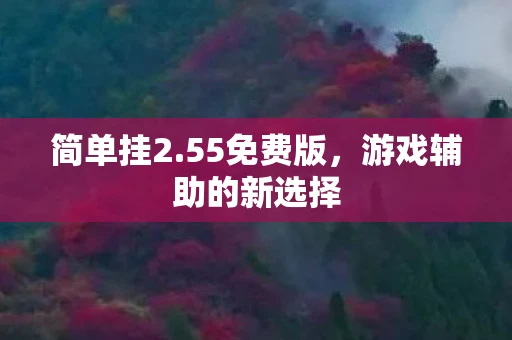 简单挂2.55免费版，游戏辅助的新选择