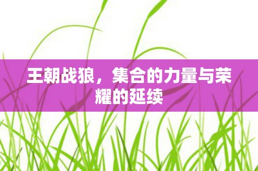 王朝战狼，集合的力量与荣耀的延续