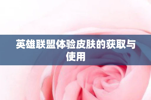 英雄联盟体验皮肤的获取与使用