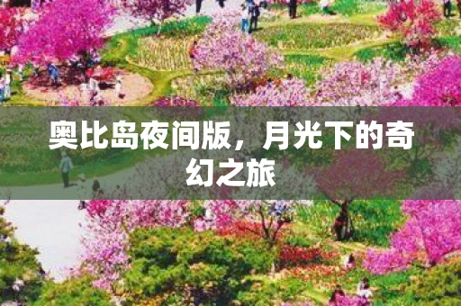 奥比岛夜间版，月光下的奇幻之旅