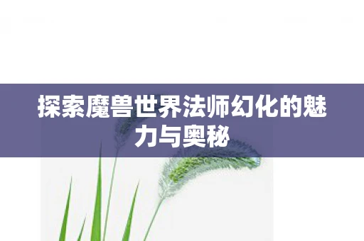 探索魔兽世界法师幻化的魅力与奥秘