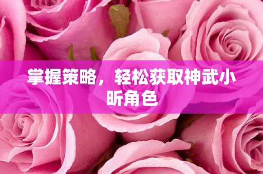 掌握策略，轻松获取神武小昕角色