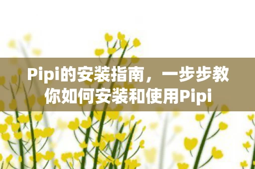一步步教你如何安装和使用Pipi图片