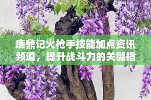 鹿鼎记火枪手技能加点资讯频道，提升战斗力的关键指南