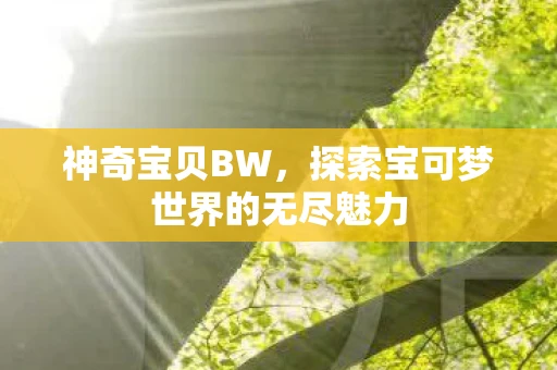 神奇宝贝BW，探索宝可梦世界的无尽魅力