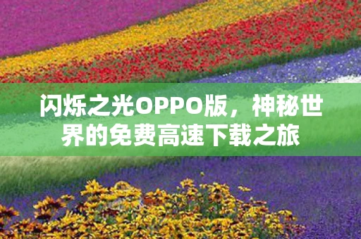闪烁之光OPPO版，神秘世界的免费高速下载之旅