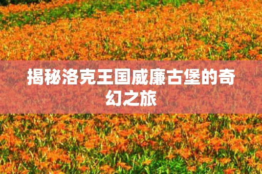 揭秘洛克王国威廉古堡的奇幻之旅