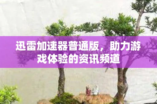 迅雷加速器普通版，助力游戏体验的资讯频道