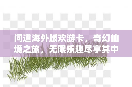 问道海外版欢游卡图片