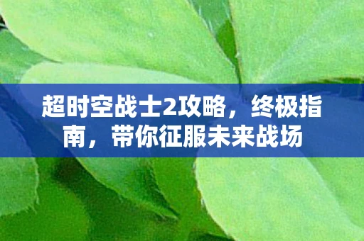 超时空战士2攻略，终极指南，带你征服未来战场