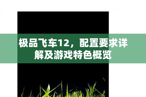 极品飞车12，配置要求详解及游戏特色概览
