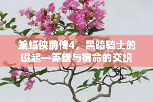 蝙蝠侠前传4，黑暗骑士的崛起—英雄与宿命的交织