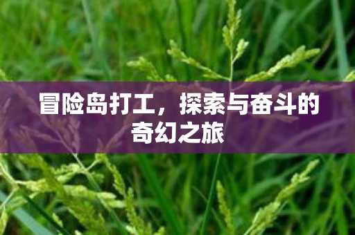 冒险岛打工，探索与奋斗的奇幻之旅