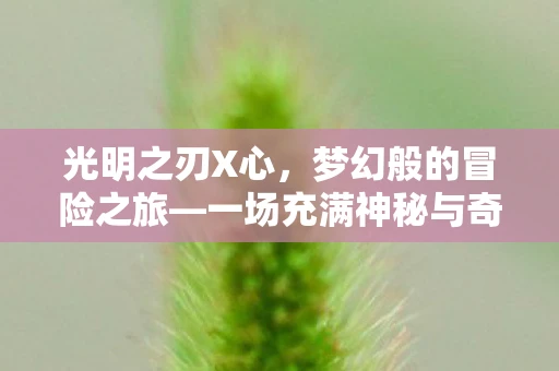 光明之刃X心，梦幻般的冒险之旅—一场充满神秘与奇迹的探险之旅