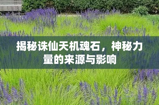 揭秘诛仙天机魂石，神秘力量的来源与影响