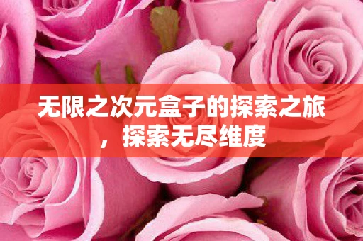 无限之次元盒子的探索之旅，探索无尽维度