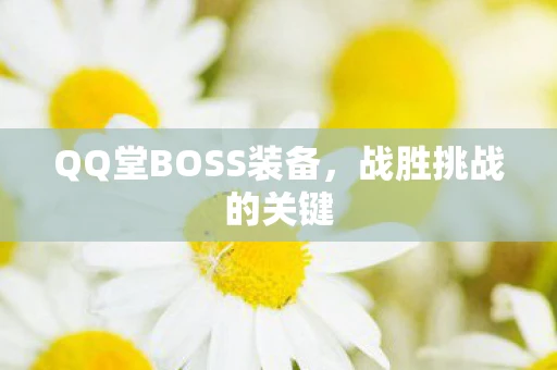 QQ堂BOSS装备，战胜挑战的关键