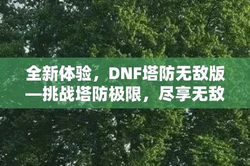 全新体验，DNF塔防无敌版—挑战塔防极限，尽享无敌模式