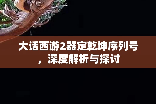 大话西游2器定乾坤序列号图片